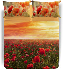 Completo Lenzuola Copriletto